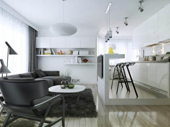 Cuisine ouverte sur salon 25m2 avec mobilier blanc brillant, canapé, table basse, tapis et étagères murales.