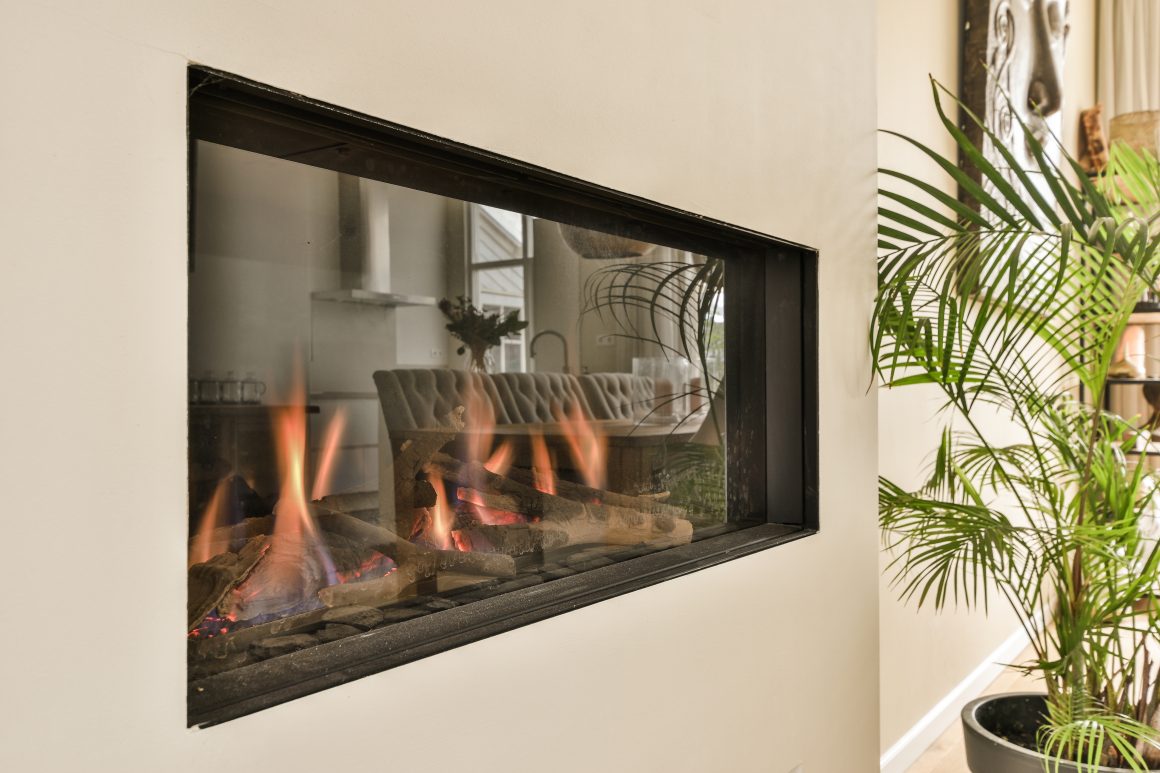 Intérieur avec cheminée moderne encastrée, plante verte et décor élégant.
