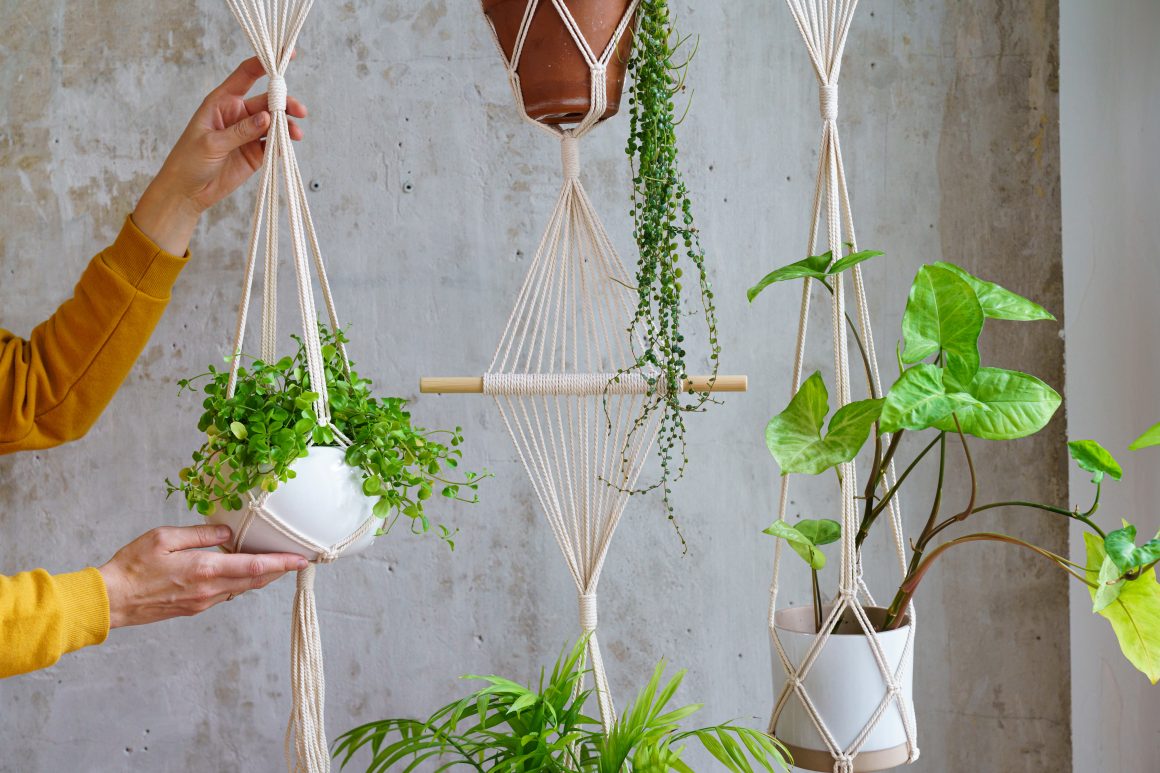 Plantes suspendues dans des pots blancs dans une petite terrasse