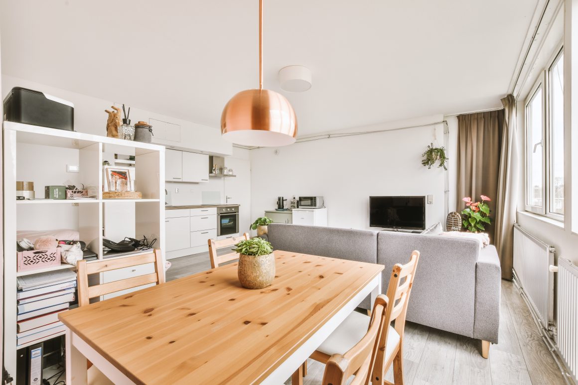 Espace lumineux incluant cuisine, salon et salle à manger avec mobilier en bois naturel, suspension en laiton et plantes.