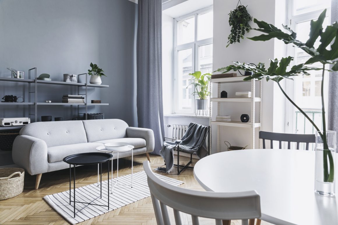 Salon lumineux incluant canapé gris, tables basses, plantes vertes, étagères minimalistes, et sol parquet avec tapis rayé.
