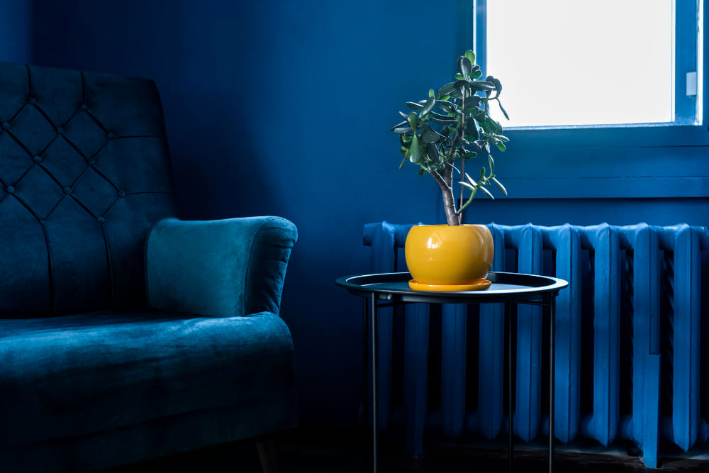 ambiance bleu marine dans le salon, avec le radiateur, le fauteuil et la table bleue, et un pot de fleurs jaune