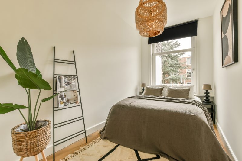 Aménagement petite chambre 9m2 minimaliste avec lit double, plante, tapis et luminaire en osier