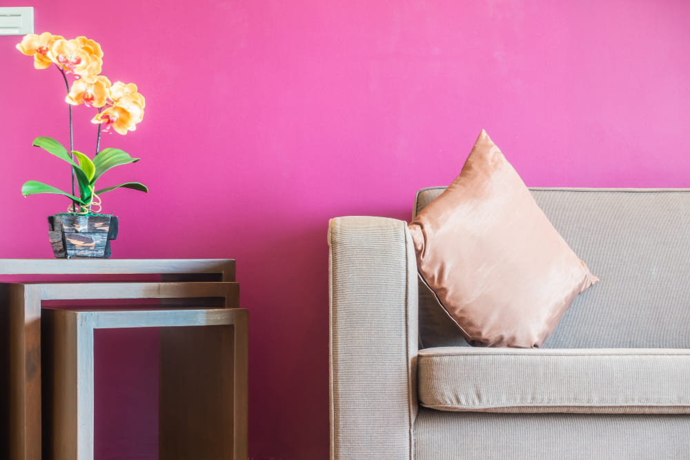 un mur rose fuschia derrière une plante jaune et un canapé gris