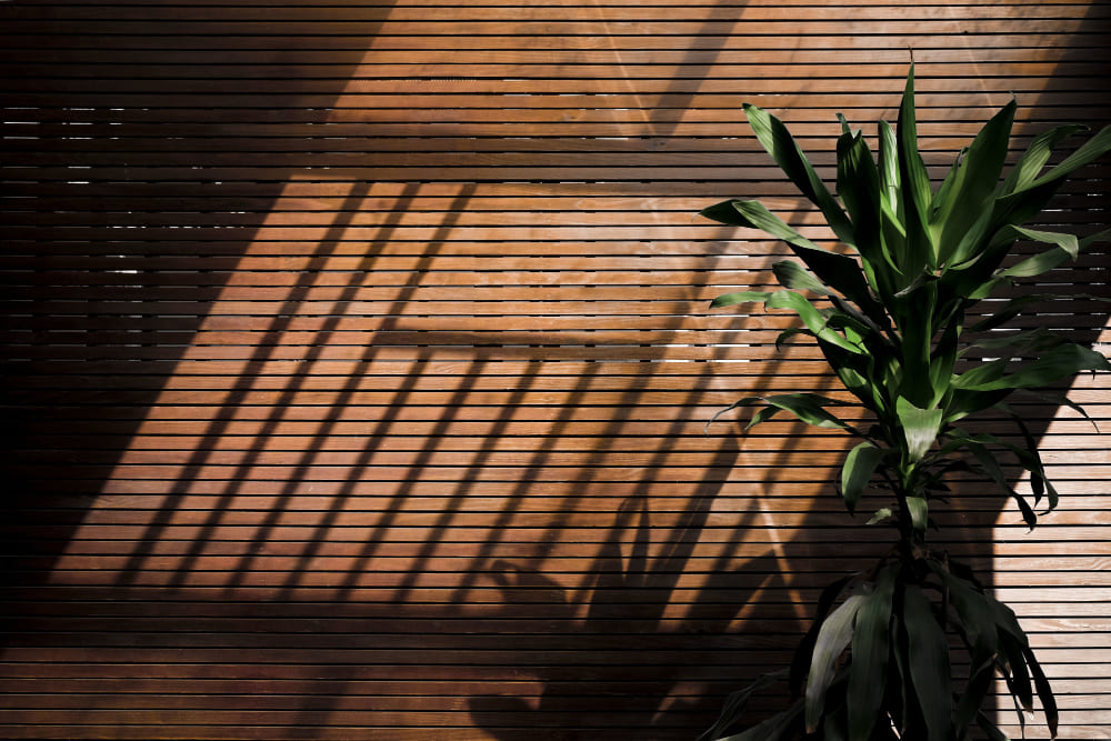 une cloison en bambou derrière une plante verte