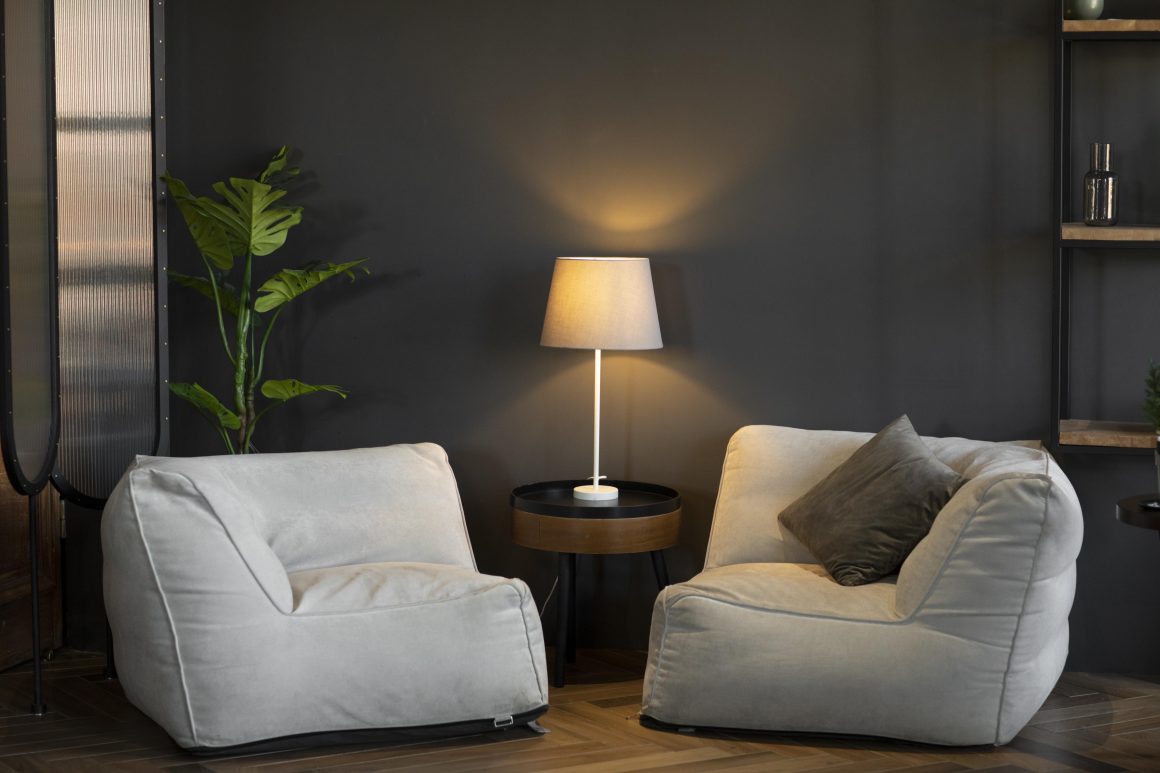 Deux fauteuils moelleux entourent une lampe douce, plante verte et étagères