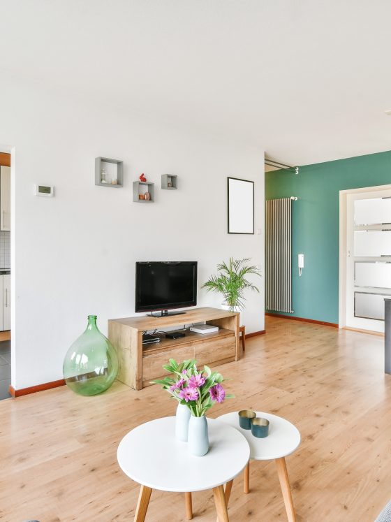 Salon lumineux incluant murs verts, meubles, plantes et déco minimaliste avec une cuisine ouverte