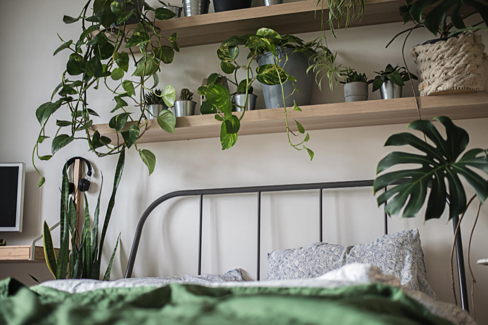 un lit en fer forgé avec des étagères en bois brut et des plantes vertes au-dessus