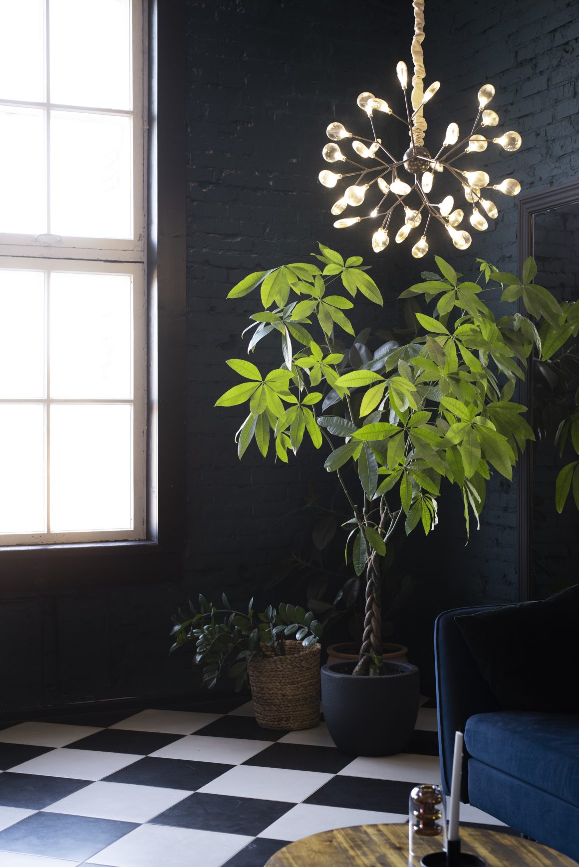 Coin cosy avec plante haute tressée et suspension