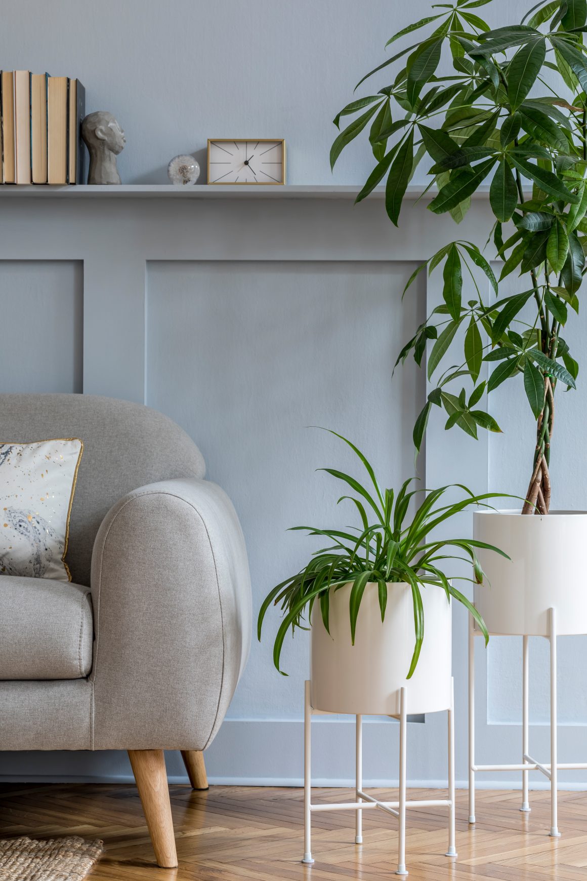 Salon élégant avec un fauteuil gris et des plantes vertes sur supports blancs