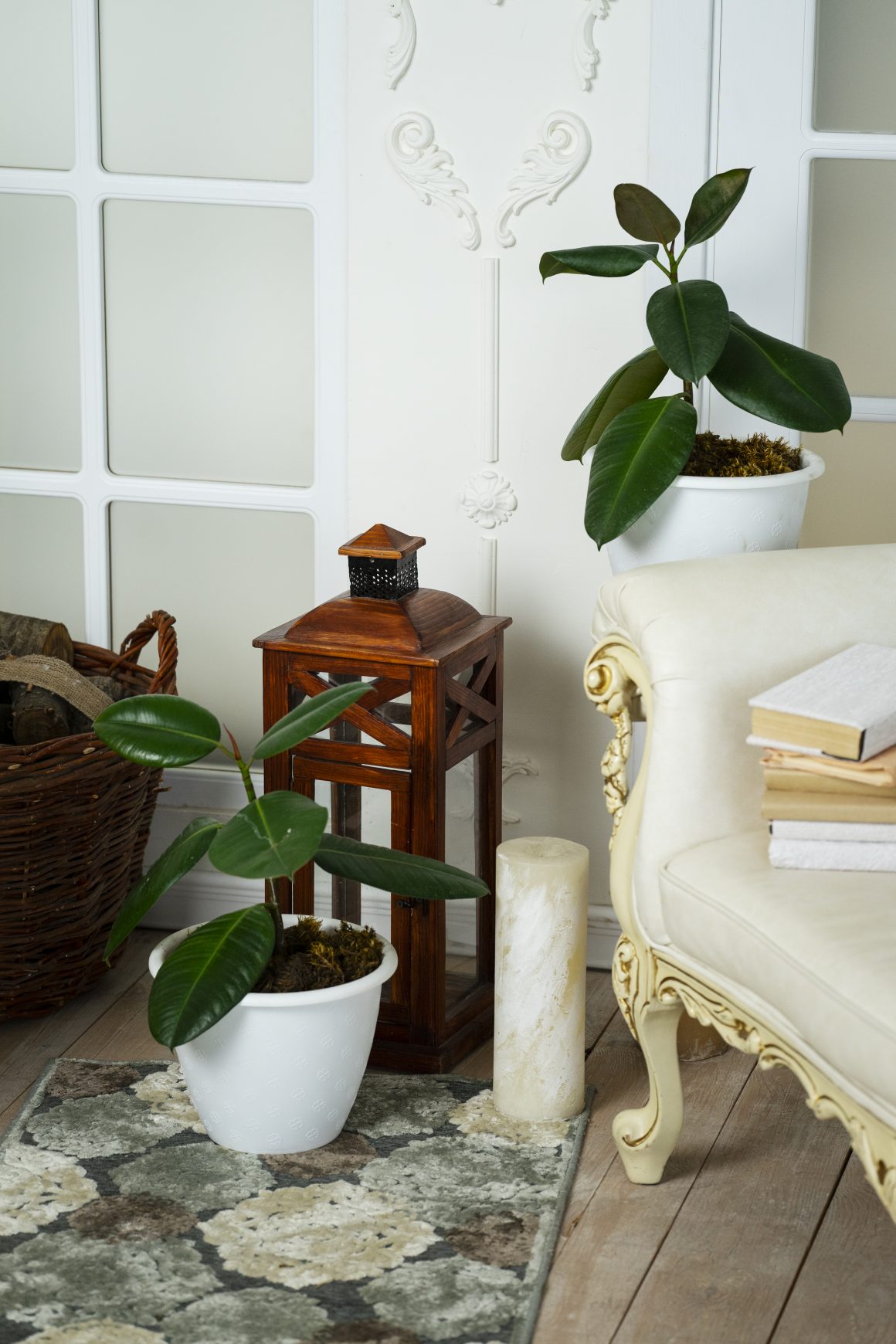 Coin cosy élégant avec plantes décoration intérieure, lanterne en bois, tapis floral et bougie décorative.
