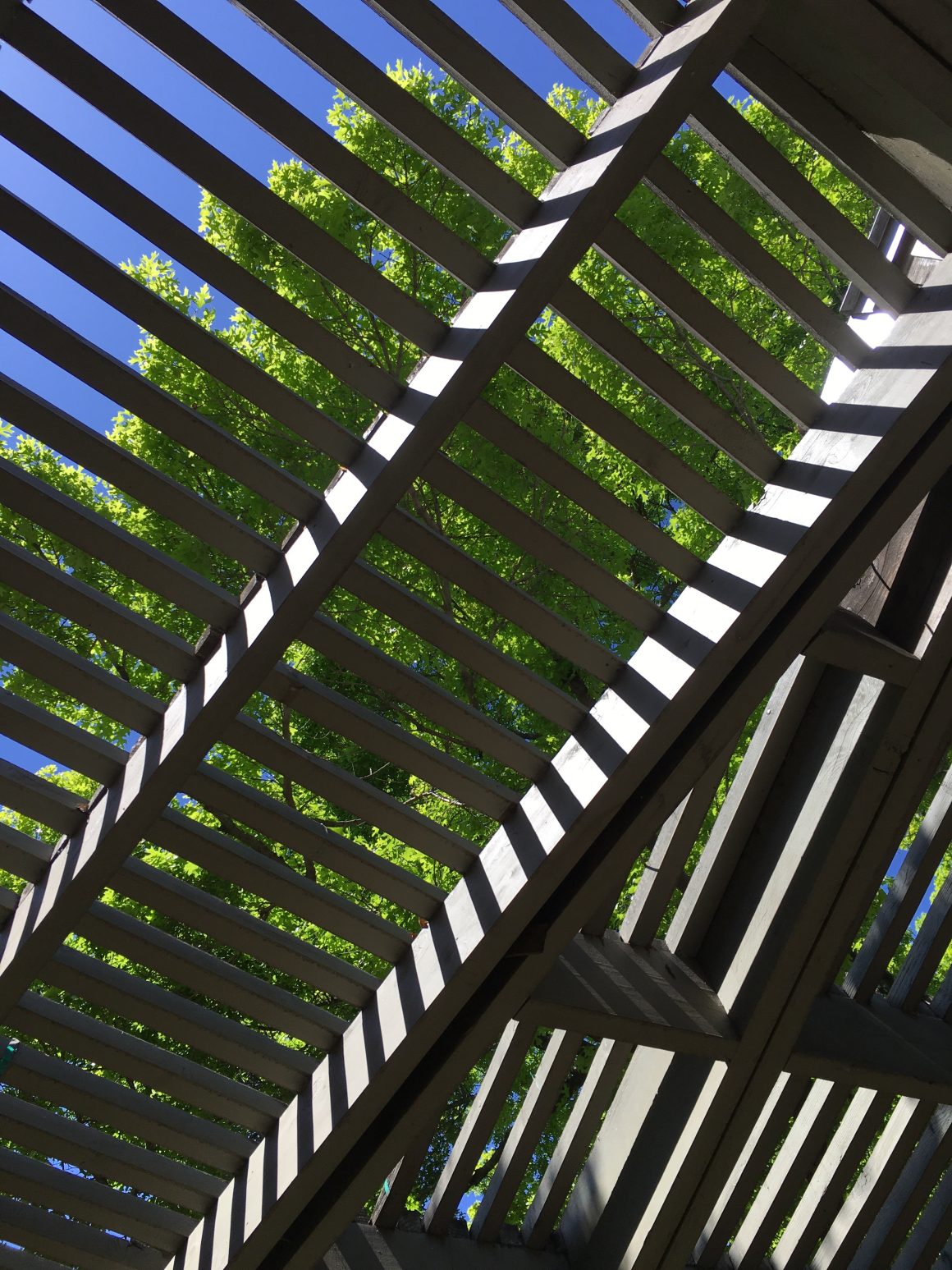 Ombrage pour pergola avec des plantes
