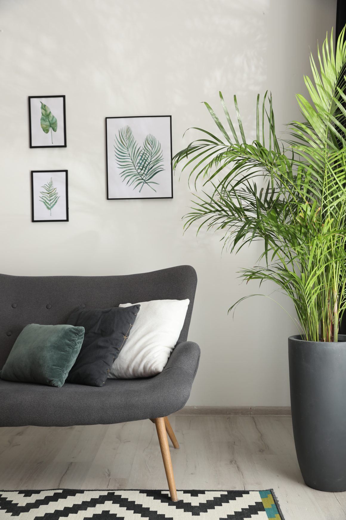 Canapé gris élégant, coussins verts et blancs, tapis, grandes plantes luxuriantes et cadres feuille