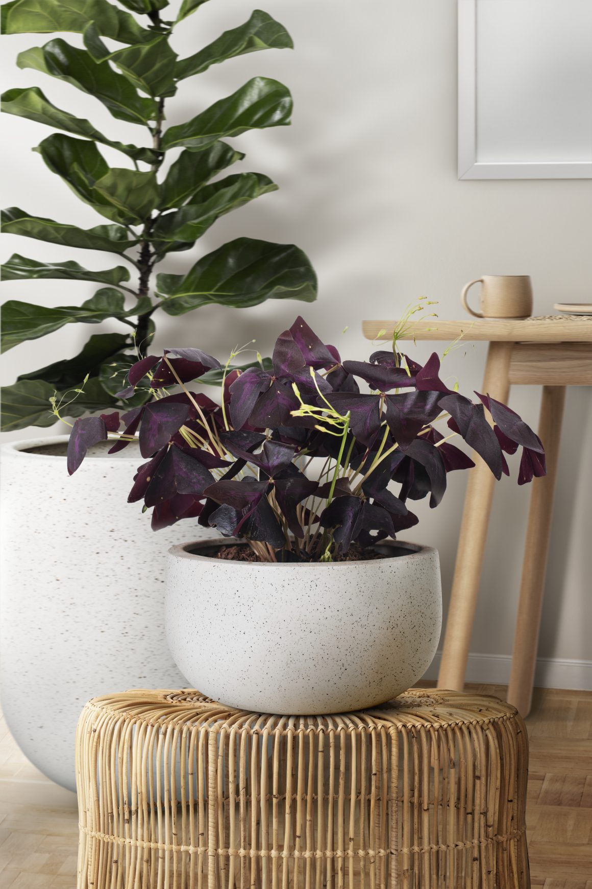 Décoration intérieure avec plante violette en pot gris