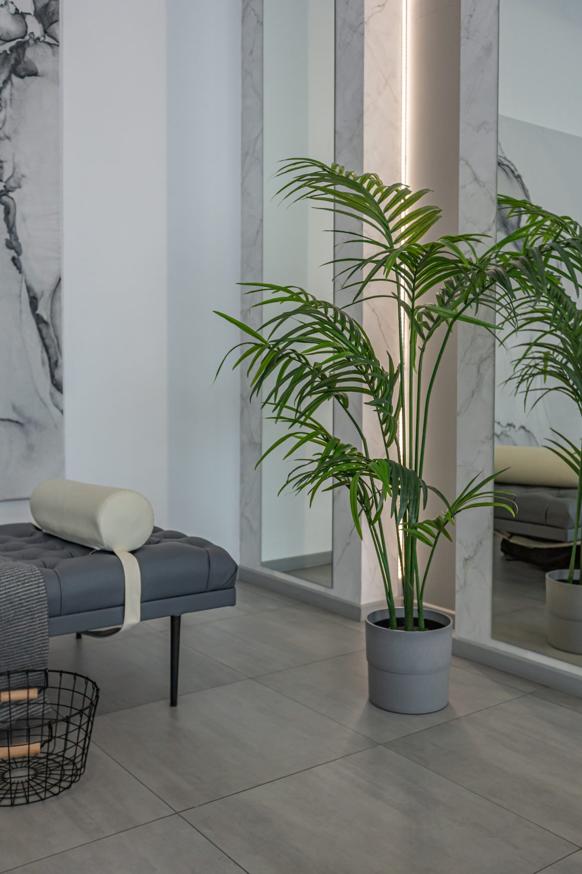 Idée décoration hall d'entrée avec plante verte dans un pot gris, grand miroir et banquette capitonnée