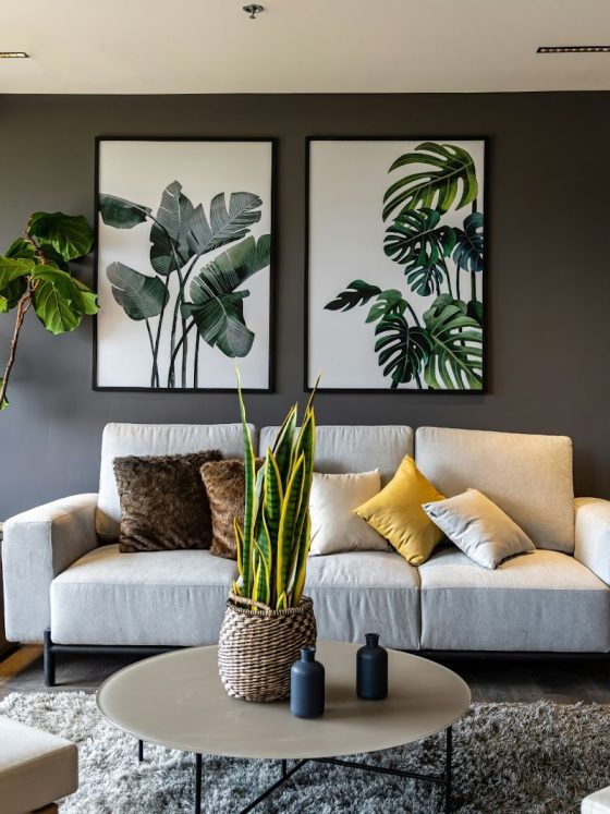 Salon moderne avec mur peint en foncé, canapé gris, plantes, tableaux botaniques et table basse ronde