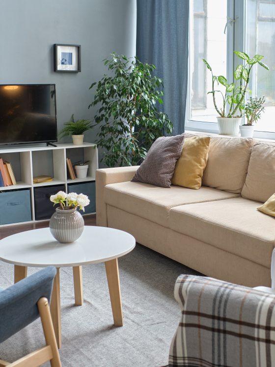 Petit salon avec canapé beige, fauteuils bleus, table ronde, plantes, télévision et coussins colorés