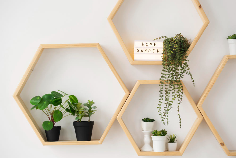 une décoration murale salon tendance avec des étagères hexagonales en bois clair et des plantes vertes