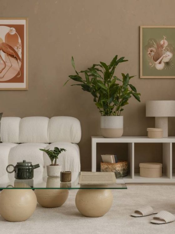 Salon avec canapé blanc bouclé, table basse en verre, plantes vertes et cadres artistiques