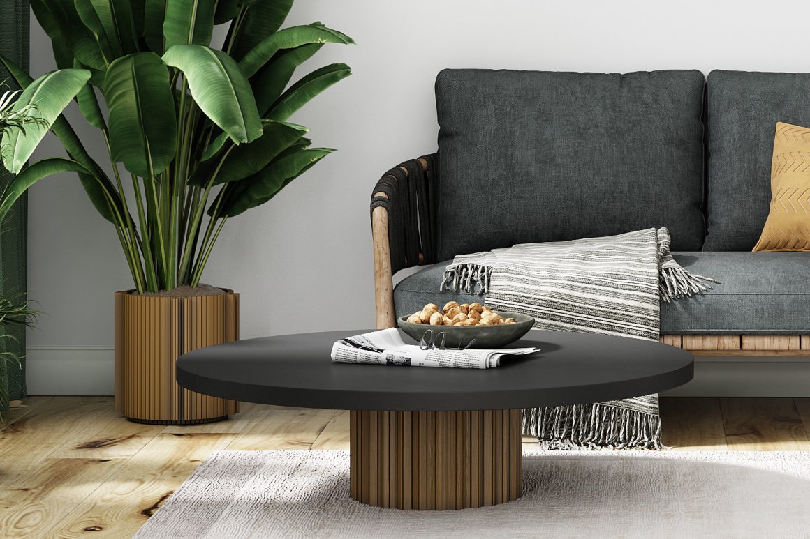 Salon moderne incluant canapé gris, table basse ronde noire, plante et plaid rayé