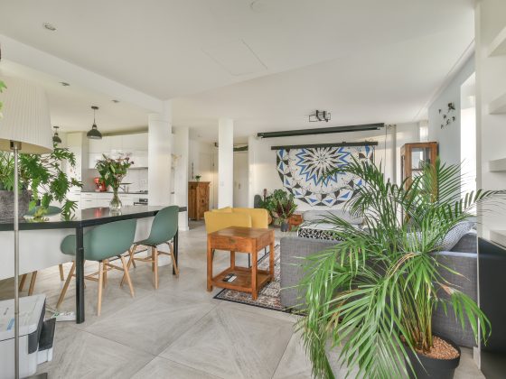 Pièce de vie lumineuse avec mobilier contemporain, plantes abondantes, tapis et luminaires