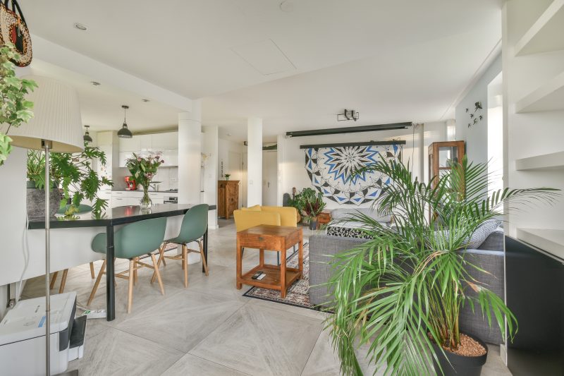Pièce de vie lumineuse avec mobilier contemporain, plantes abondantes, tapis et luminaires