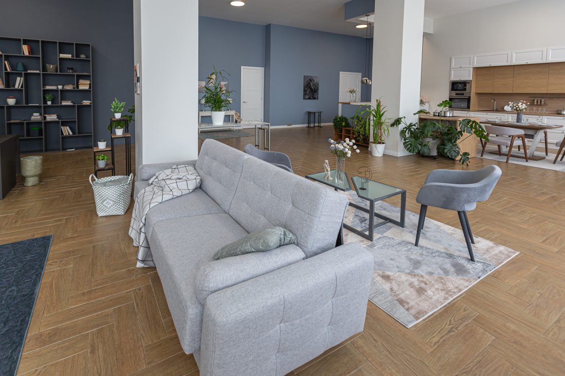 Grand salon ouvert : canapé , fauteuil, table basse, tapis, plantes, bibliothèque et cuisine en arrière-plan