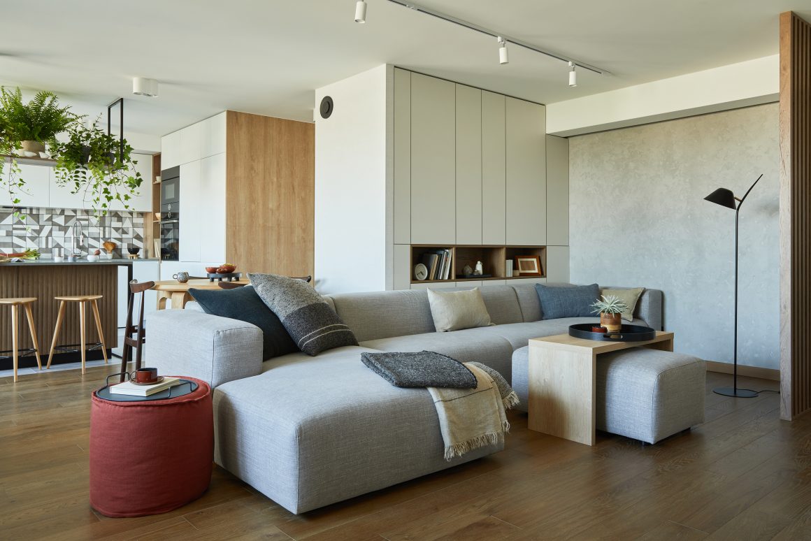 Cuisine ouverte sur salon : grand canapé gris, table basse en bois, pouf rouge, plantes et îlot central